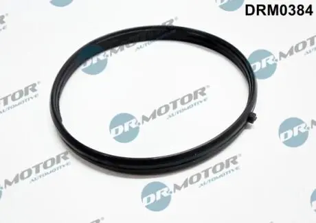 DRM0384 Прокладка впускного колектора DR.MOTOR підбір по vin на Brocar