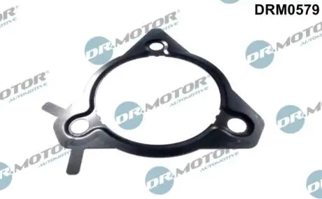 DRM0579 Прокладка топливной помпы DR.MOTOR подбор по vin на Brocar