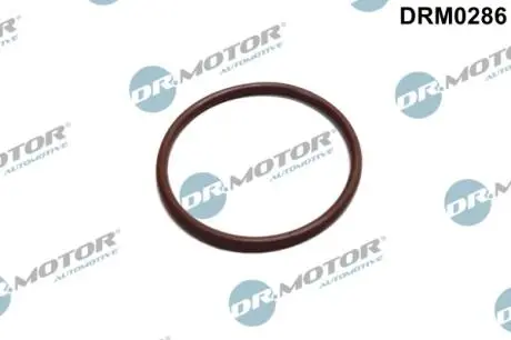 DRM0286 Прокладка топливной помпы DR.MOTOR подбор по vin на Brocar