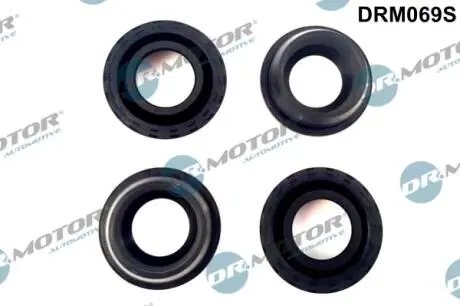 DRM069S Комплект прокладок з різних матеріалів DR.MOTOR підбір по vin на Brocar
