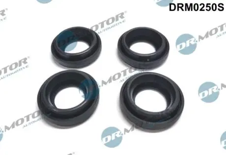 DRM0250S Комплект прокладок гумових DR.MOTOR підбір по vin на Brocar