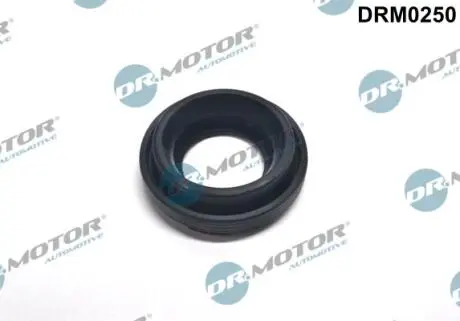 DRM0250 Кільце гумове DR.MOTOR підбір по vin на Brocar