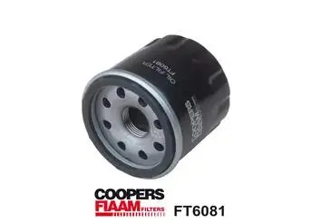 FT6081 Фільтр масляний FIAAM підбір по vin на Brocar