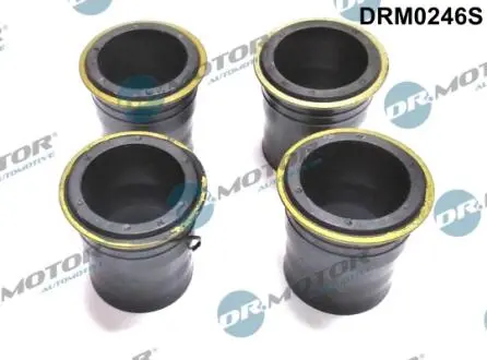 DRM0246S Кільце гумове DR.MOTOR підбір по vin на Brocar