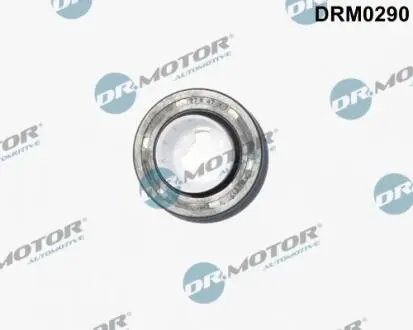 DRM0290 Сальники валу DR.MOTOR підбір по vin на Brocar