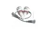 11362U50CWX2 Лампа світлодіодна LED H11 12/24V Ultinon Pro5000 +160 15W 5800k (комплект) (вир-во Philips) PHILIPS підбір по vin на Brocar