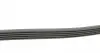 5PK1290 Ремень генератора MB A-class (W168) 97-04 CONTITECH підбір по vin на Brocar