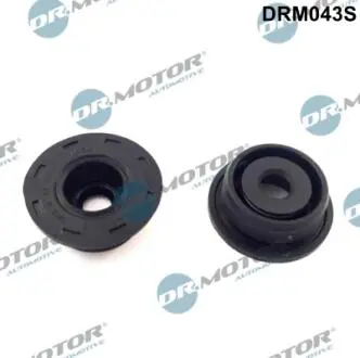 DRM043S Комплект прокладок гумових DR.MOTOR підбір по vin на Brocar