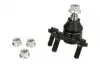 Опора кульова (передня/знизу/R) VW Polo/Skoda Fabia 1.0-2.0 99- 36052