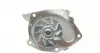 CT1064WP2 Комплект ГРМ + помпа Nissan Primera 1.9dCi 02-/Renault Scenic/Megane 1.9dCi 03-(26x133z) CONTITECH підбір по vin на Brocar