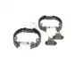 0204114603 Комплект бараб.колодки+циліндр BOSCH підбір по vin на Brocar