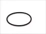 Прокладка-кільце термостата Opel Omega A/B/Vectra A 1.8 88- 202 327