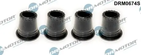 DRM0674S Кільце гумове DR.MOTOR підбір по vin на Brocar