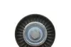 532070510 Ролик генератора Citroen Jumpy/Peugeot Expert 2.0 00-06 (паразитный) (78x25) INA підбір по vin на Brocar