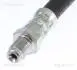 815028231 PRZEWÓD HAM. ELAST. PEUGEOT T. 4007 2,2 HDI/2,4 16V 07-13 LE/PR TRISCAN підбір по vin на Brocar