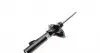 22182838 Амортизатор (передний) Ford Kuga 08- (R) BILSTEIN підбір по vin на Brocar