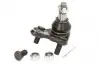 Опора кульова (передня/знизу) Toyota Corolla 06-/Auris 07-/Rav 4 06- 43033