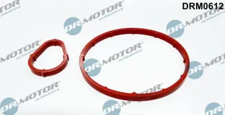 DRM0612 К-т прокладок помпи вакуумної 2 елементи DR.MOTOR підбір по vin на Brocar
