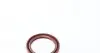 559012010 Комплект цепи ГРМ Toyota Rav 4 III 2.04WD/2.4 05-13, 1AZ-FE/2AZ-FE INA підбір по vin на Brocar
