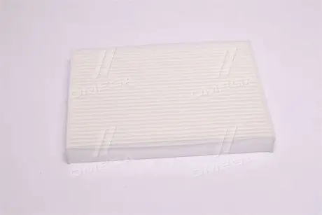 RD61J6WP2100 Фільтр салону NISSAN X-TRAIL 14-, RENAULT LODGY 12- (RIDER) RIDER підбір по vin на Brocar