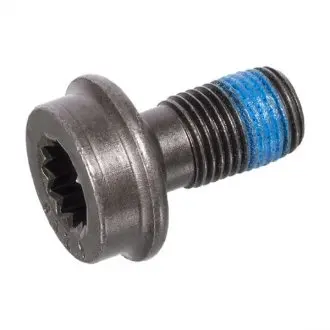 24602 Болт маховика(з внутрішнім не шестигранним шліцем) FEBI BILSTEIN підбір по vin на Brocar