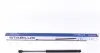 Амортизатор стекла багажника Hyundai Santa Fe 01-06 1273PX