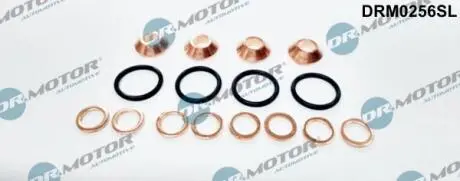 DRM0256SL Комплект прокладок з різних матеріалів DR.MOTOR підбір по vin на Brocar