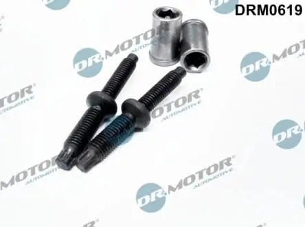 DRM0619 Комплект болтов двигателя с фигурной головкой DR.MOTOR подбор по vin на Brocar