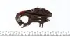 47978 Комплект цепи ГРМ BMW 3 (E46/E90/E91)/5 (E60/E61) 1.6/1.8/2.0 98-13 (N43/N46) FEBI BILSTEIN підбір по vin на Brocar