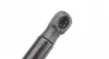 7958RN Амортизатор кришки багажника Renault Megane II 02-08 STABILUS підбір по vin на Brocar