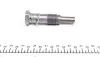 30334 Комплект цепи ГРМ BMW 3 (E46/90/91/92)/5 (E60)/X3 (E83) 1.8/2.0 00-15 (N42/N46) FEBI BILSTEIN підбір по vin на Brocar