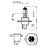 12342XVGB1 Автолампа Philips 12342XVGB1 X-tremeVision G-force H4 P43t-38 55 W 60 W прозрачно-голубая PHILIPS підбір по vin на Brocar