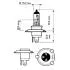 12342XVGB1 Автолампа Philips 12342XVGB1 X-tremeVision G-force H4 P43t-38 55 W 60 W прозоро-блакитна PHILIPS підбір по vin на Brocar