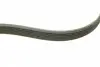 529050310 Комплект ременя генератора Citroen C4/Peugeot 308 II 1.6 14- (6PK 893) INA підбір по vin на Brocar