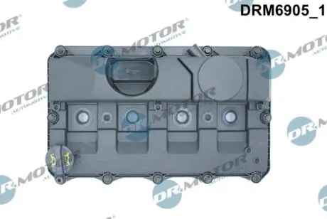 DRM6905 Кришка головки блоку циліндрів ДВЗ DR.MOTOR підбір по vin на Brocar