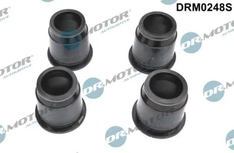 DRM0248S Кільце гумове DR.MOTOR підбір по vin на Brocar
