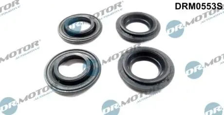 DRM0553S Комплект прокладок гумових DR.MOTOR підбір по vin на Brocar
