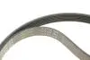 529004410 Комплект ременя генератора BMW 1 (E87/E88)/3 (E46/E90)/5 (E60) 1.6-2.0 01-10, N46B20, (6PK1870) INA підбір по vin на Brocar