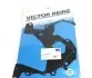 559002230 Комплект цепи ГРМ BMW X3 (E83)/X4 (F26)/X5 (F15/F85)/X6 (E71/E72) 07-, N47/M47/N57 INA підбір по vin на Brocar