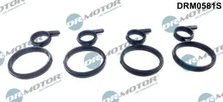 DRM0581S Прокладка корпус форсунки 4шт DR.MOTOR підбір по vin на Brocar