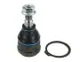 Опора кульова (передня/знизу) Smart Forfour 04-06 016 010 0012