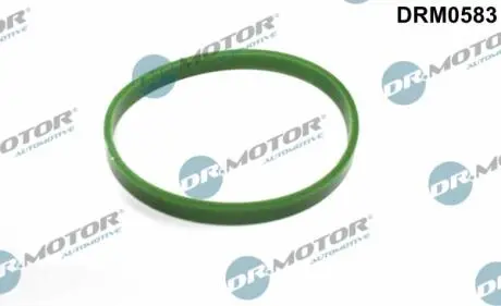 DRM0583 Ущільнювальне кільце DR.MOTOR підбір по vin на Brocar