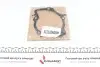 PA1110 Помпа воды Citroen C4/C5/C8/Jumpy/Fiat Scudo/Peugeot 308/407/Ford Focus 2.0HDI 06- (18z)(B/B)(24лоп) GRAF підбір по vin на Brocar