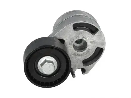 VKM33061 Натяжник паска приводного Ford/Citroen/Peugeot 1.4/1.6HDi 01- SKF подбор по vin на Brocar