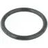 Прокладка дросельної заслінки Megane/Duster/Logan 05- RINGAH-009