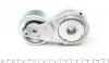 534044210 Натяжник ременя генератора Nissan X-Trail/Qashqai/Renault Clio/Fluence/Laguna III 2.0 16 V 07- INA підбір по vin на Brocar