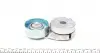 534044210 Натяжник ременя генератора Nissan X-Trail/Qashqai/Renault Clio/Fluence/Laguna III 2.0 16 V 07- INA підбір по vin на Brocar
