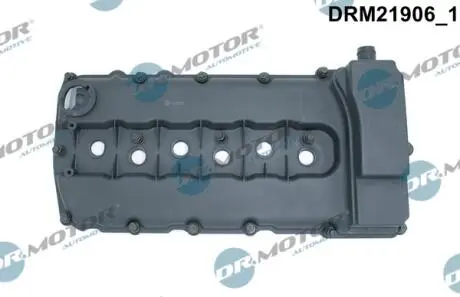 DRM21906 Кришка головки циліндра VW PASSAT 3,2FSI 11- Z USZCZELKд DR.MOTOR підбір по vin на Brocar