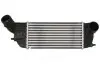 Радиатор интеркулера Citroen C5/Peugeot 407/508 2.0HDi 08- 30319