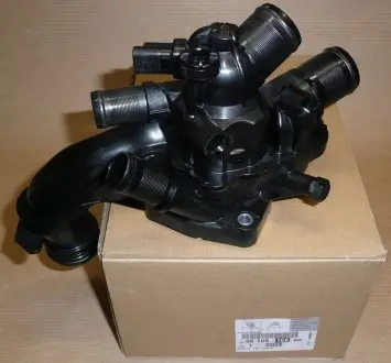 9810916880 Термостат Citroen Berlingo/Peugeot Partner 1.4/1.6 09- (105°C) PEUGEOT/CITROEN підбір по vin на Brocar
